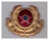 Insemn de coifura/cuc militar RPR, ofiter inferior, auriu
