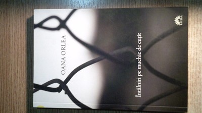 Oana Orlea - Intalniri pe muchie de cutit (Editura Leda, 2011) foto