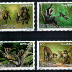 Ruanda Rwanda 1988, Mi #1389-1392 A**, fauna, maimute, MNH, cota 8 €!