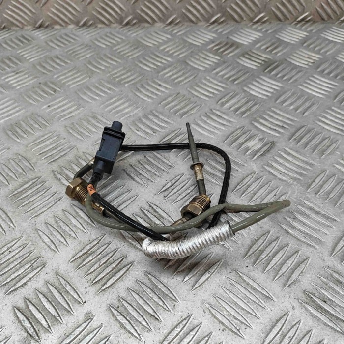 Senzor de temperatură VW T-ROC A11 2023 OEM: 05E919519J | 21814400