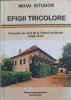 EFIGII TRICOLORE. CURSURILE DE VARA DE LA VALENII DE MUNTE (1908-1914)-MIHAI ISTUDOR-258514