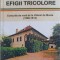 EFIGII TRICOLORE. CURSURILE DE VARA DE LA VALENII DE MUNTE (1908-1914)-MIHAI ISTUDOR-258514