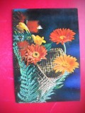 HOPCT 25116 FELICITARE FLORI - - ROMANIA - CIRCULATA