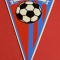 Fanion fotbal - CS TARGOVISTE