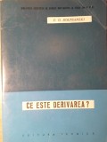 CE ESTE DERIVAREA? - V.G. BOLTEANSKI - Analiza Matematica - Editura TEHNICA - 1961 - Paperback Romana