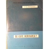 CE ESTE DERIVAREA?-V.G. BOLTEANSKI-360271