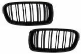 Set Grile Radiator Nari Bmw Seria 3 F30 2011&rarr; FGBMF30DPB, General