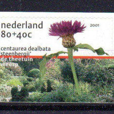 OLANDA 2001, Flora, serie neuzata, MNH