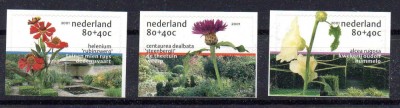 OLANDA 2001, Flora, serie neuzata, MNH foto