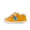 icon 6