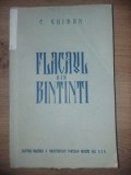 Flacaul din Bintinti- C. Ghiban