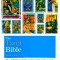 The Tarot Bible