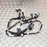 Cablaj Usa Fata Stanga Nissan Leaf ZE1 2020, 24125-5SJ0C, Piesa Originala