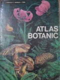 ATLAS BOTANIC-L. POPOVICI, C. MORUZI, I. TOMA-348743