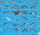 Timbre cu delfini și marsuini din Ins. Palau