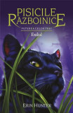 Pisicile războinice. Puterea celor trei. Exilul (Vol.15) - Erin Hunter