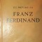 CU PRIVIRE LA FRANZ FERDINAND