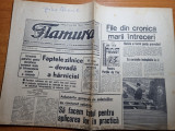 flamura 11 august 1970-art. anina,poli timisoara fotbal,victor ion popa