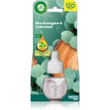 Air Wick Blue Eucalyptus &amp; Cedarwood rezervă pentru difuzorul electric 19 ml