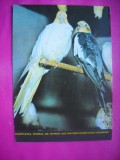 HOPCT 10884 PAPAGALI COMPLEXUL STIINTELE NATURII CONSTANTA-CT-FAUNA-PASARI -NECIRCULATA
