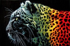 Covor Modern Kolibri Black Leopard 11016 - 120x170, Negru foto