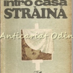 Intr-o Casa Straina - Teodor Mazilu