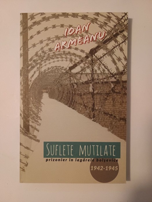 Ioan Armeanu - Suflete mutilate: prizonier &icirc;n lagărele bolșevice 1942-1945