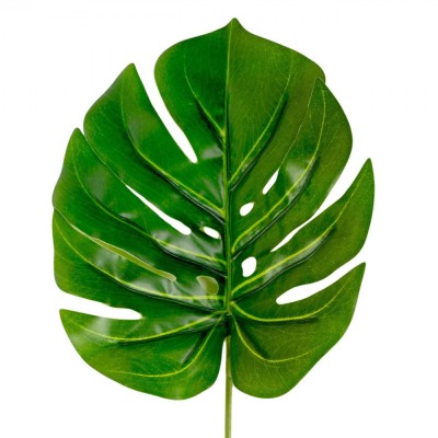 Frunză Decorativă, Model Lat, Culoare Verde, Dimensiune 35cm foto