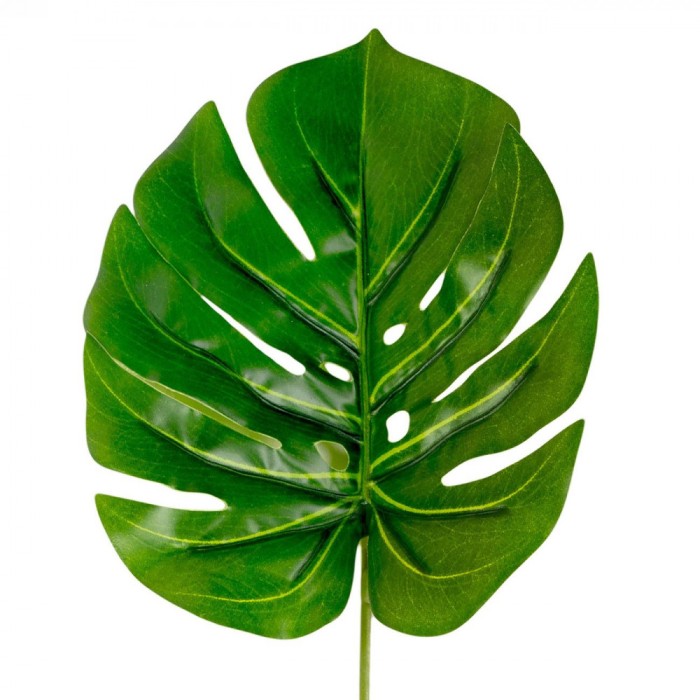 Frunză Decorativă, Model Lat, Culoare Verde, Dimensiune 35cm