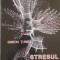 STRESUL ZILEI - SIMION TUNEA