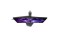 icon 9