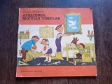 ATELIERUL MICULUI TAMPLAR - CLAUDIU LAZARESCU