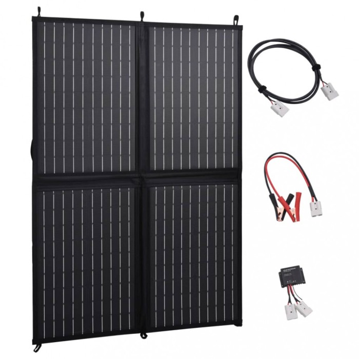 vidaXL &Icirc;ncărcător panou solar pliabil 100 W 12 V 92002