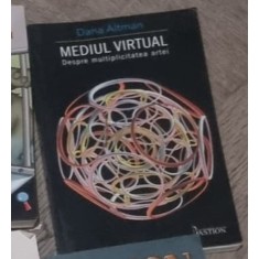 Dana Altman - Mediul Virtual. Despre Multiplicarea Artei