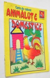 Carte de colorat - Animalute domestice 2002