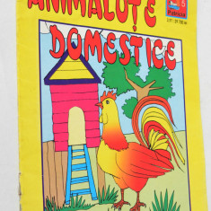 Carte de colorat - Animalute domestice 2002