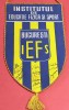 Fanion sportiv cu semnaturi originale - IEFS BUCURESTI