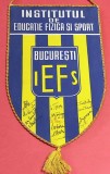 Fanion sportiv cu semnaturi originale - IEFS BUCURESTI