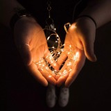 Ghirlanda Luminoasa LED 10 Becuri Alb Cald, Baterii AA (nu sunt incluse), 1m, Decorativa, Flexibila