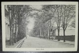Carte postala, Lacul Sarat, Romania, perioada interbelica