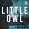 Little Owl