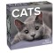 Cats 2023 Day-To-Day Calendar