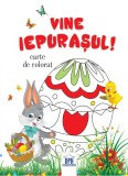 Vine iepurasul! Carte de colorat - Didactica Publishing House