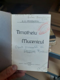 Timotheiu Mucenicul - D.D. Patrascanu, 1913