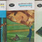 HEINRICH CEL VERDE VOL.1-3-GOTTFRIED KELLER-230560