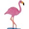 Flamingo roz