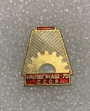 Insigna rusia