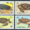 ANGUILLA 1983 WWF FAUNA PROTEJATA TESTOASE COTA MICHEL 50 EURO