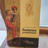 Victor Ieronim Stoichita - Pontormo si Manierismul