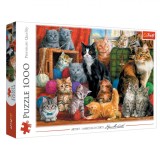 Puzzle Trefl, 15 Pisici Pozeaza, 1000 Piese, Multicolor